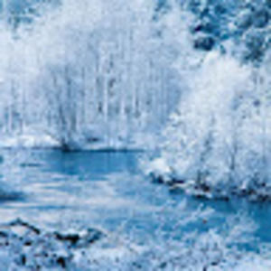 Meet your Posher, Moira